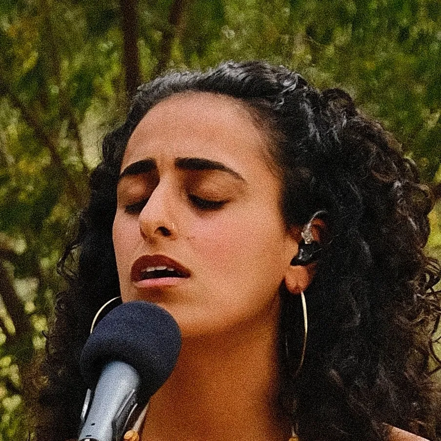 רוני משורר
